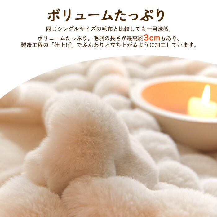 もこもち毛布