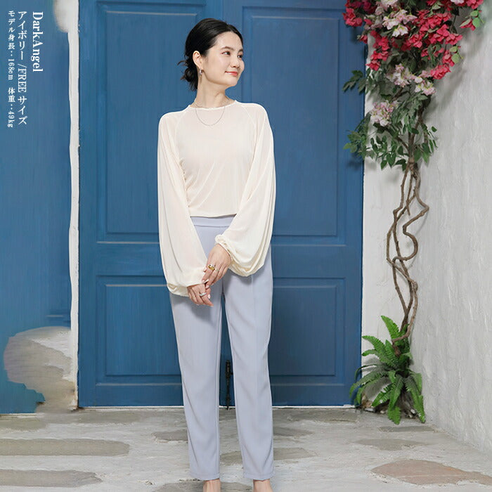 スリーブシアーブラウス