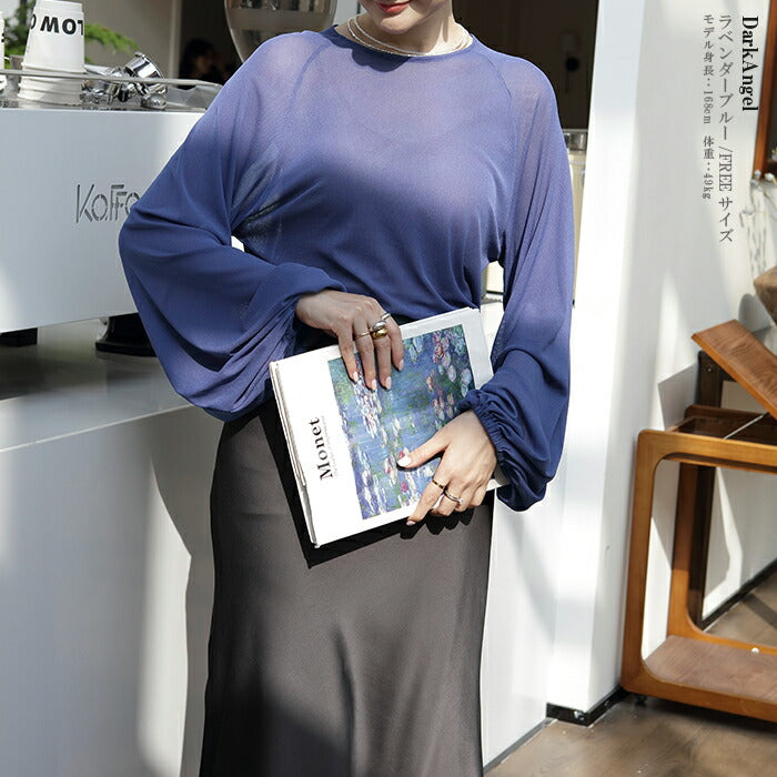 スリーブシアーブラウス