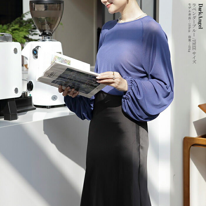 スリーブシアーブラウス