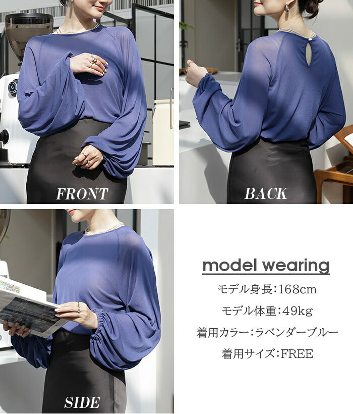 スリーブシアーブラウス