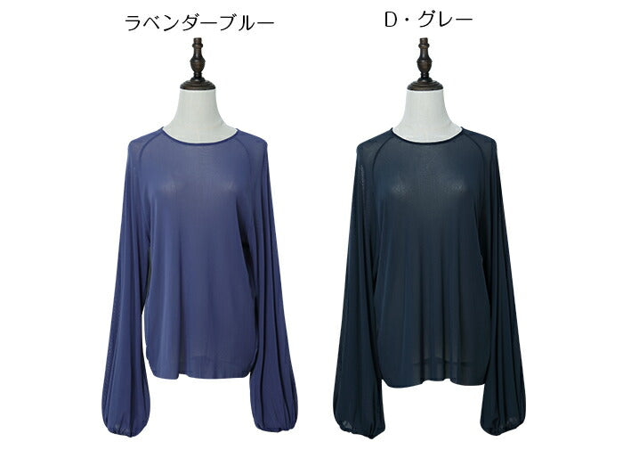 スリーブシアーブラウス