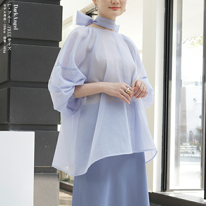スリーブシアーブラウス