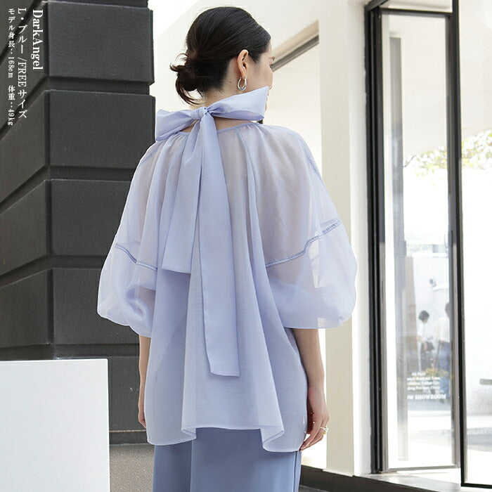 スリーブシアーブラウス