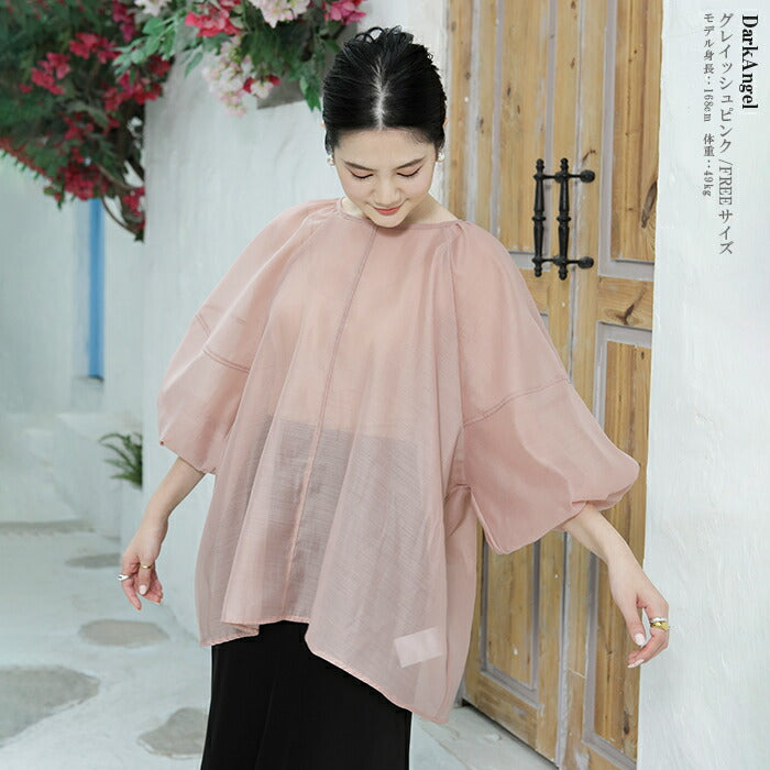 スリーブシアーブラウス