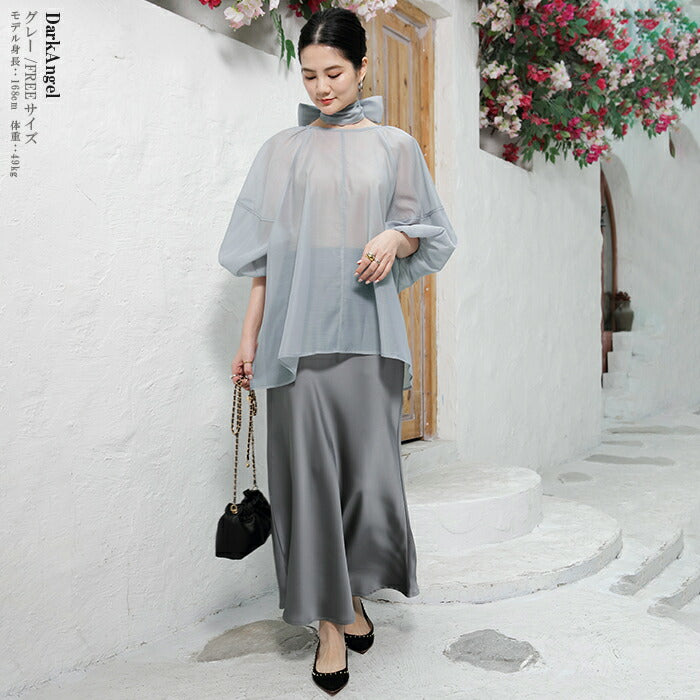 スリーブシアーブラウス