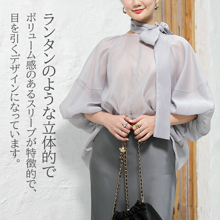 スリーブシアーブラウス