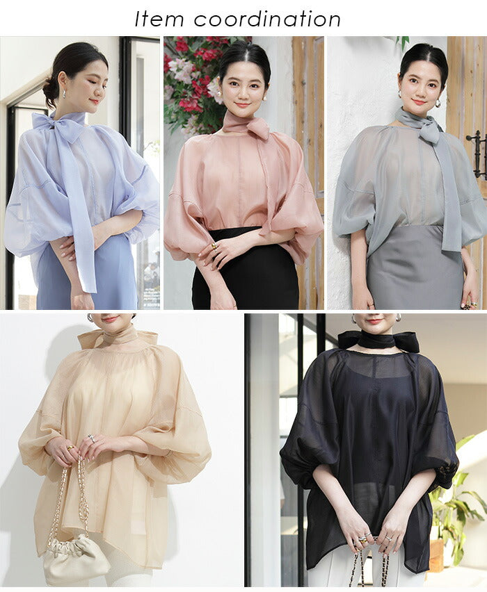 スリーブシアーブラウス