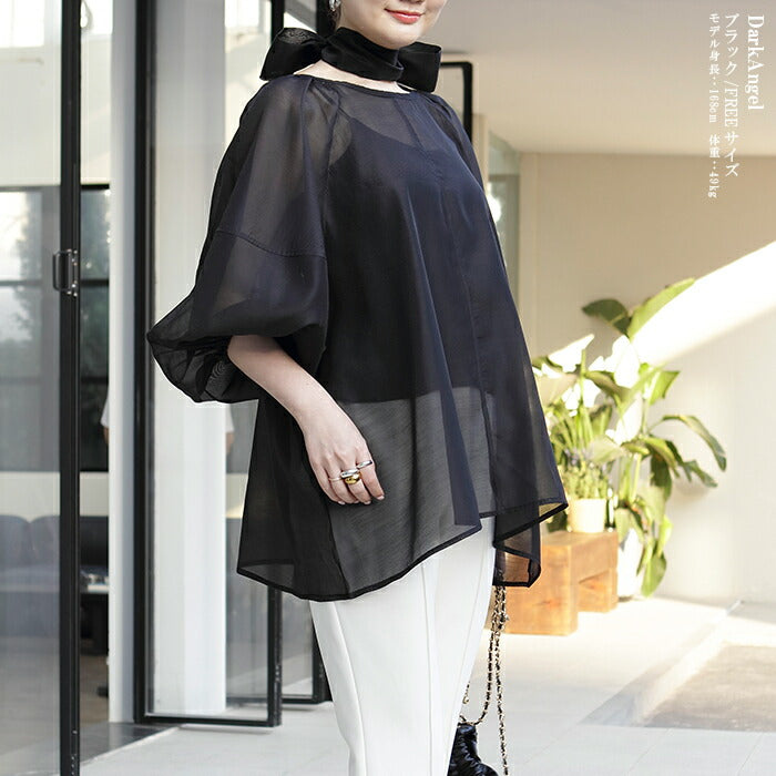 スリーブシアーブラウス