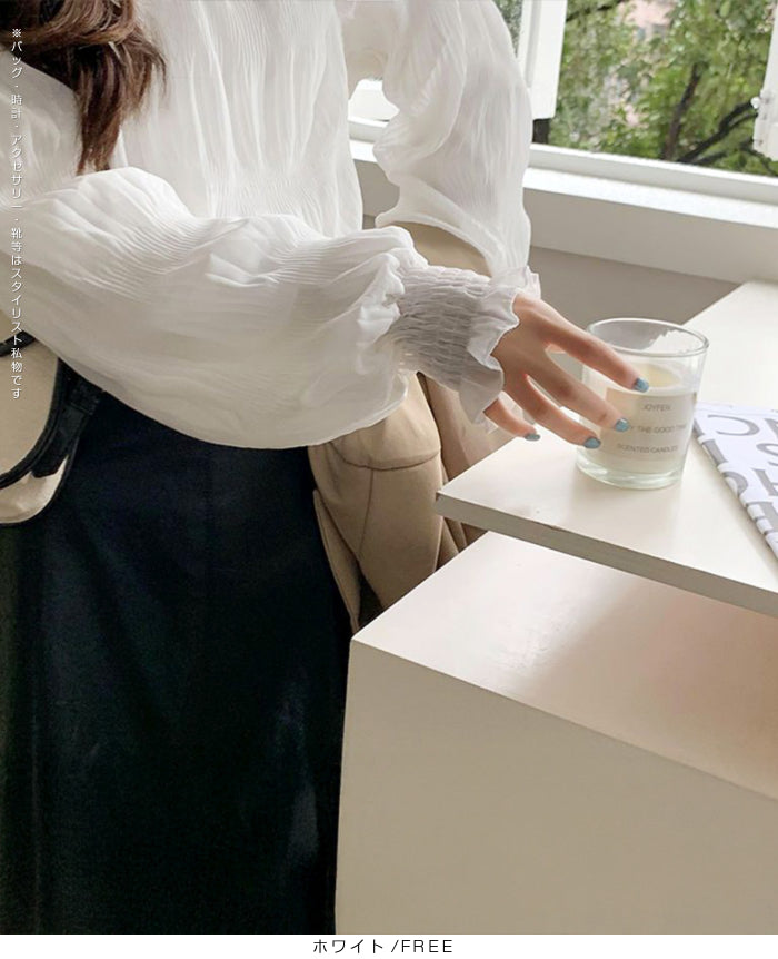 裏起毛スタンドカラーブラウス