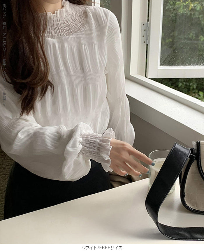 裏起毛スタンドカラーブラウス