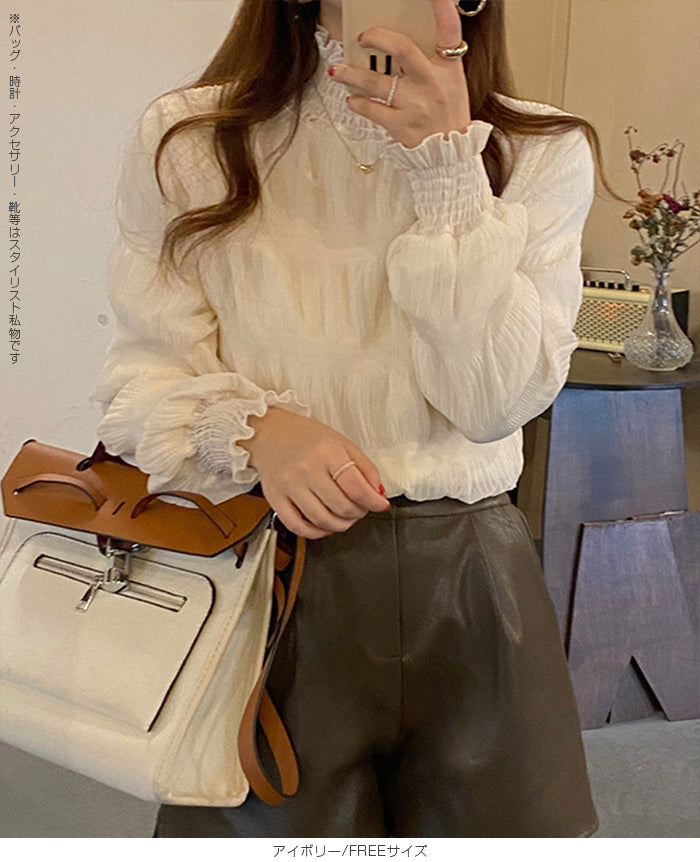 裏起毛スタンドカラーブラウス