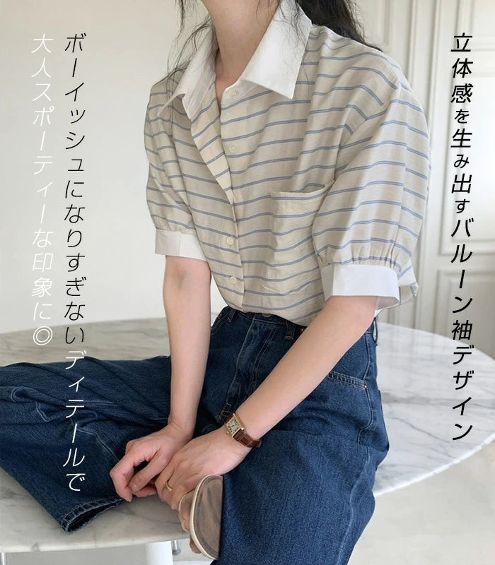 ストライプポロシャツ