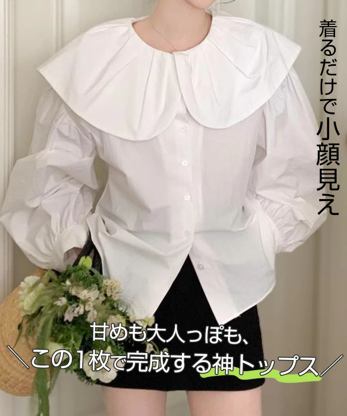 ビックカラーブラウス