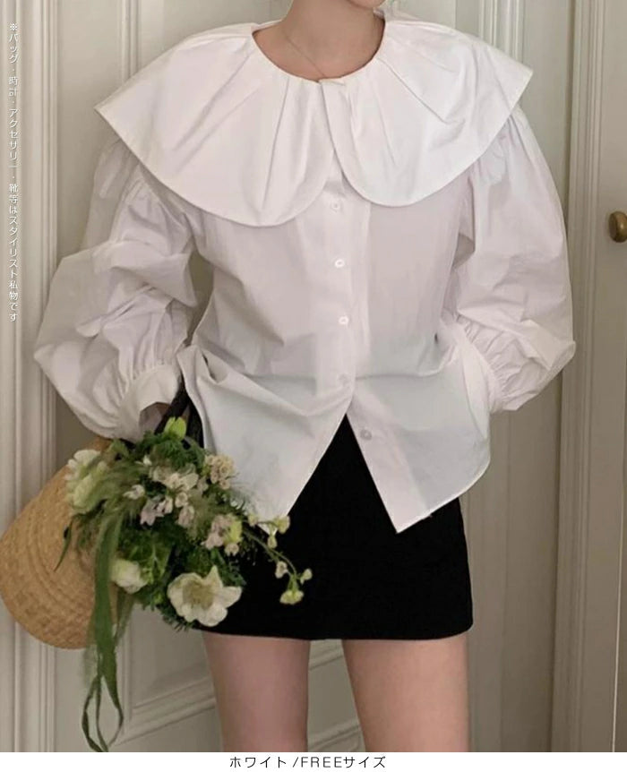 ビックカラーブラウス