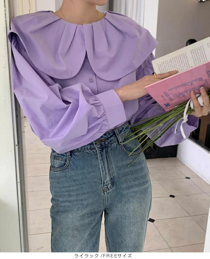 ビックカラーブラウス