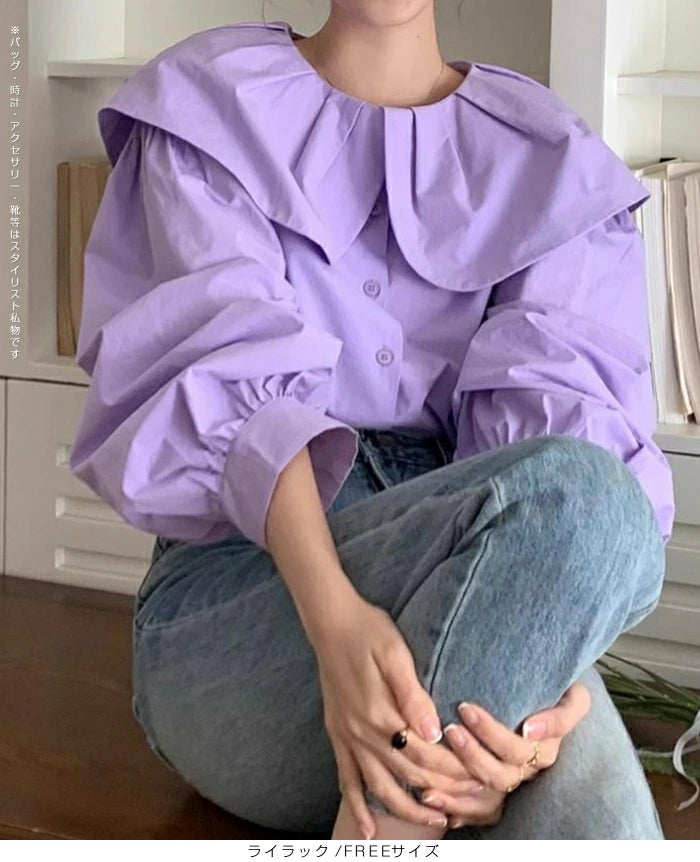 ビックカラーブラウス