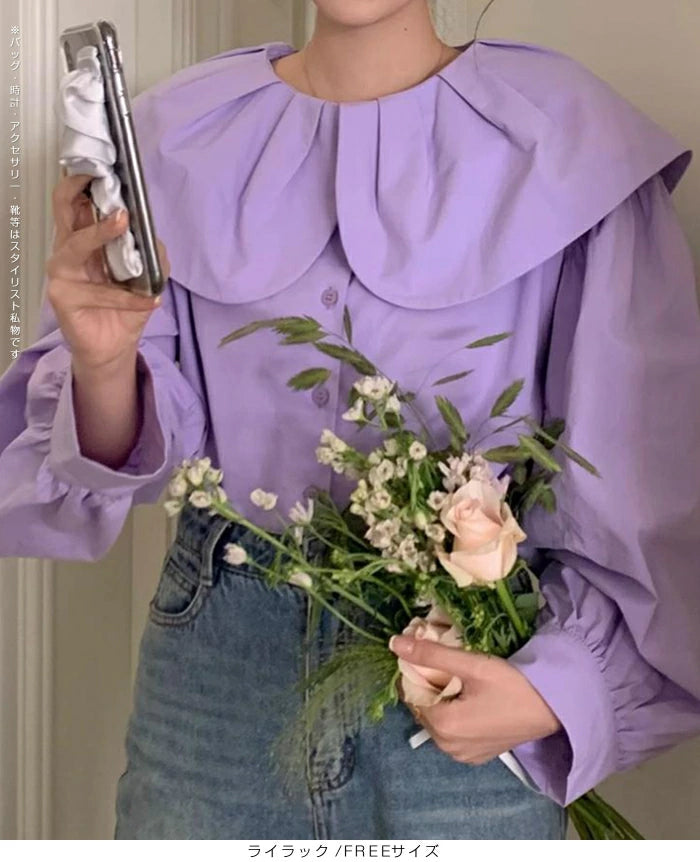 ビックカラーブラウス