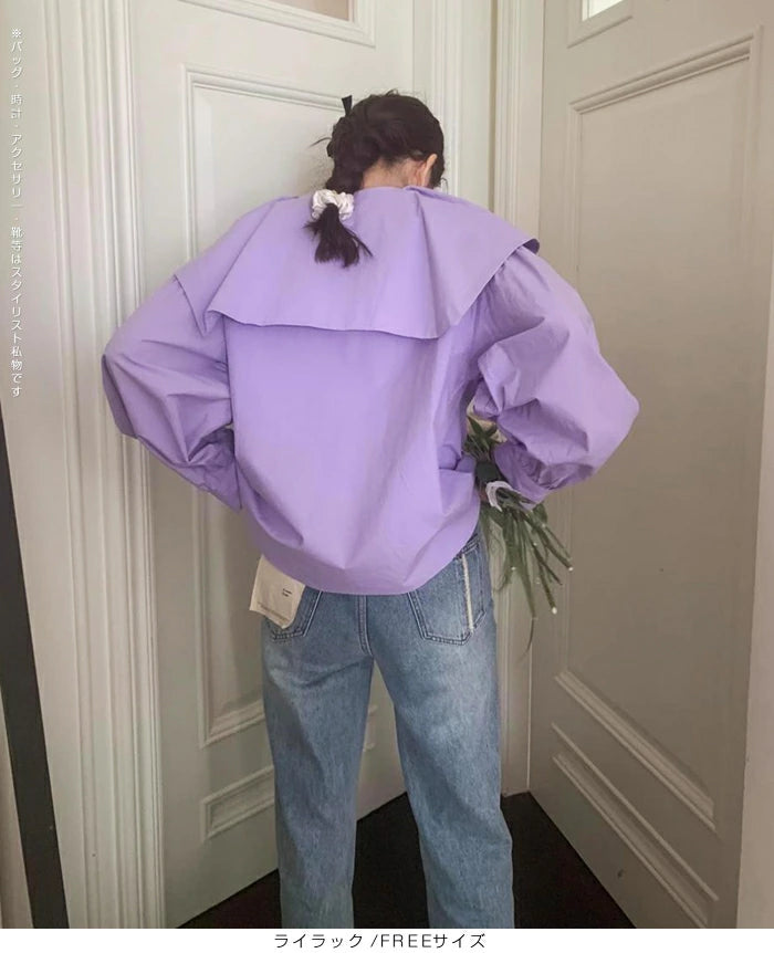 ビックカラーブラウス