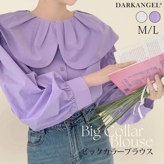 ビックカラーブラウス