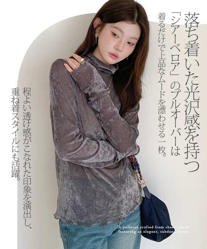 シアーフロッキーベロア見えメロートップス