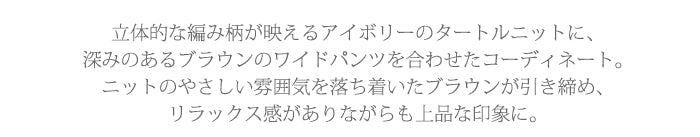 ケーブル編みタートルネックニット