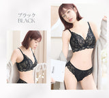 ブラショーツセット