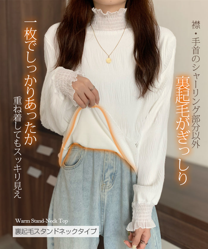 裏起毛スタンドカラーブラウス