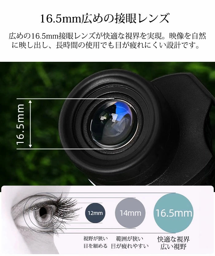 双眼鏡