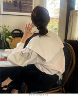 ビックカラーブラウス