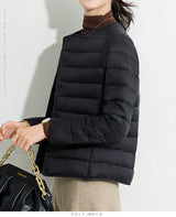 レディース クルーネック中綿インナージャケット 冬新作 スリムフィット インナーダウン Vネック 無地 薄手で暖かい ショート丈 小さめコットンジャケット 【防寒对策軽量ジャケット】